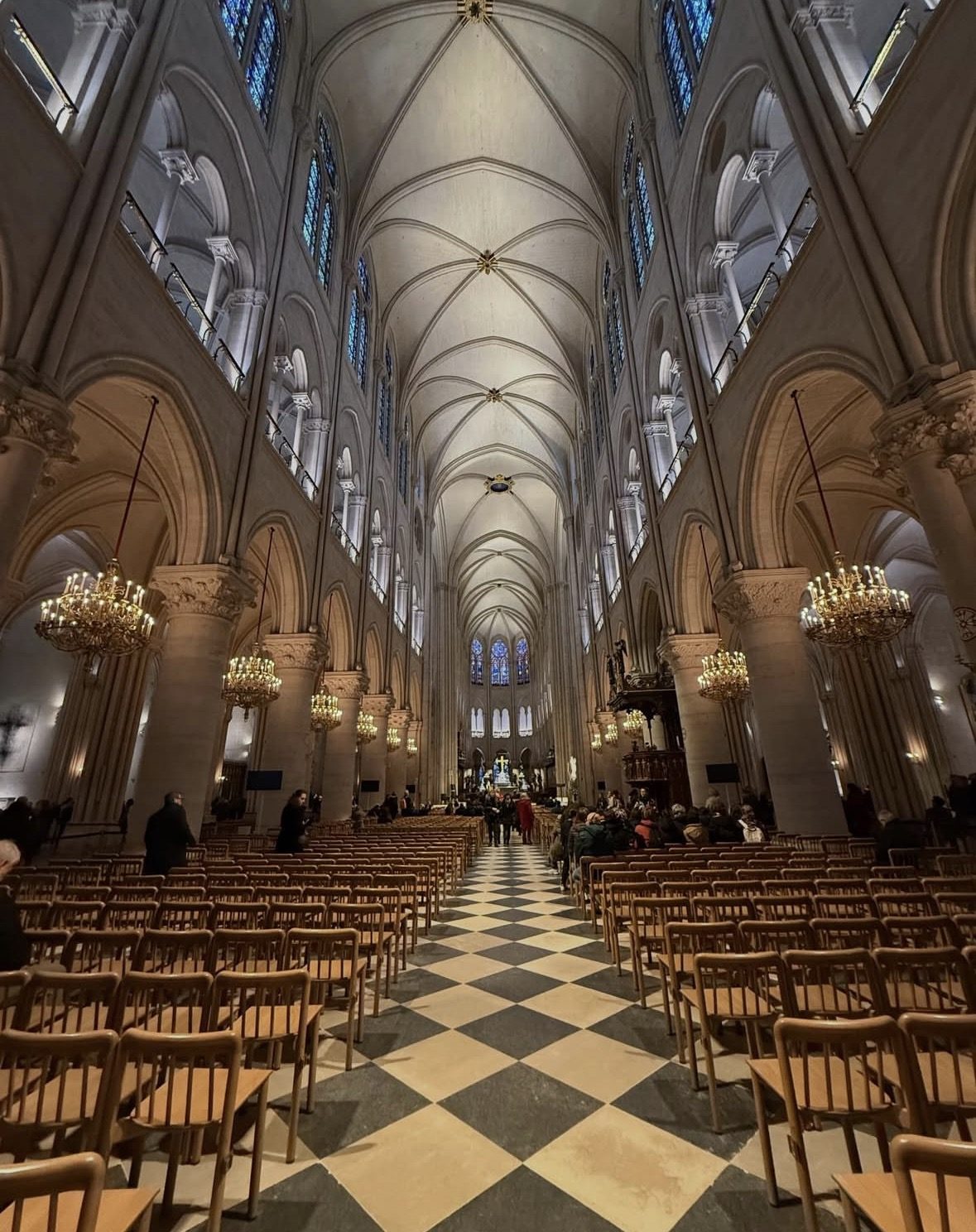 Notre Dame de París en primavera con flores y luz dorada reflejada en el Sena
